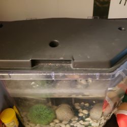Fish Tank 5 Gallon