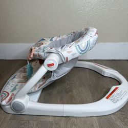 Fisher Price Portable Baby Chair