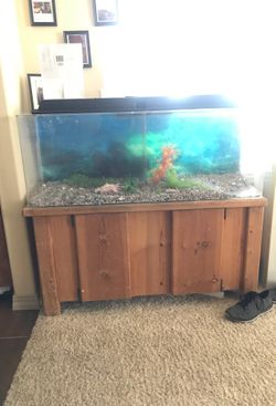 Fish tank