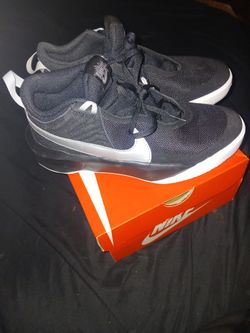 Nike Team Hustle D 10 (GS)