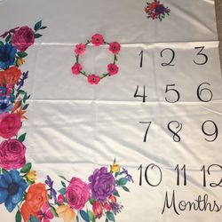 Picture Props For Birth-12 Months  $14