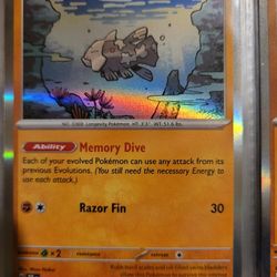 Relicanth 84/162 M, Holo