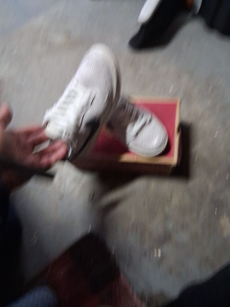 Nike Dunks Tennus Shoe