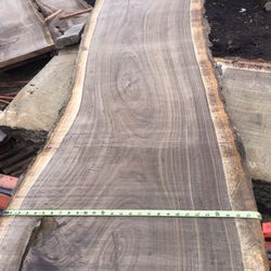 25 Inch Wide Walnut Slabs