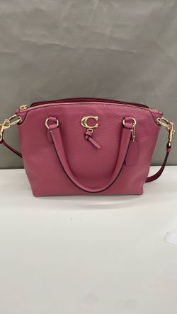 Coach purse. Item No 659 (Shopgoodwill)