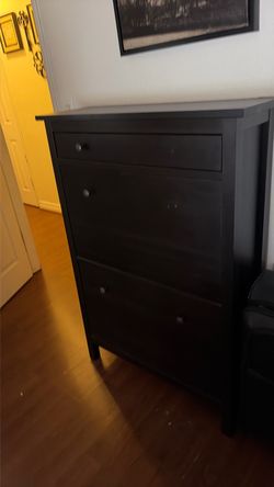 FREE Shoe Storage Cabinet