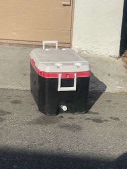 Cooler