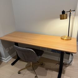 Standing Desk - Wood