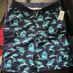 Swimming Shorts