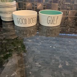 Rae Dunn White And Teal Dog Bowls Set