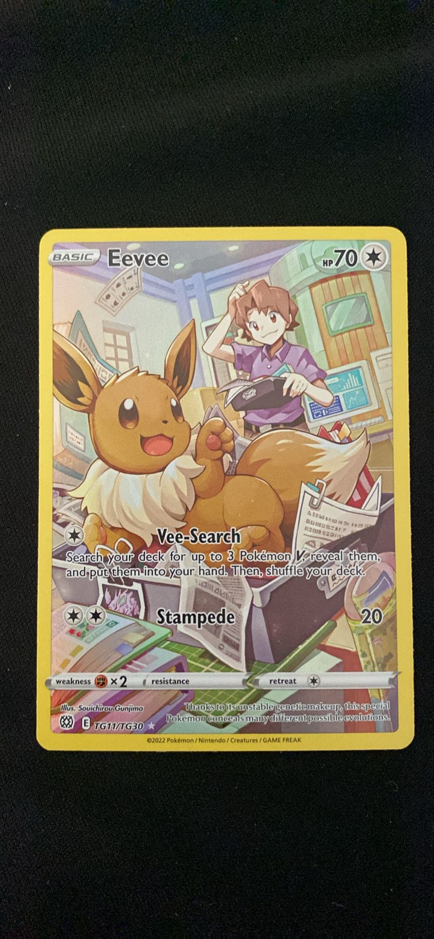 Eevee Brilliant Stars Trainer Gallery tg17 nm