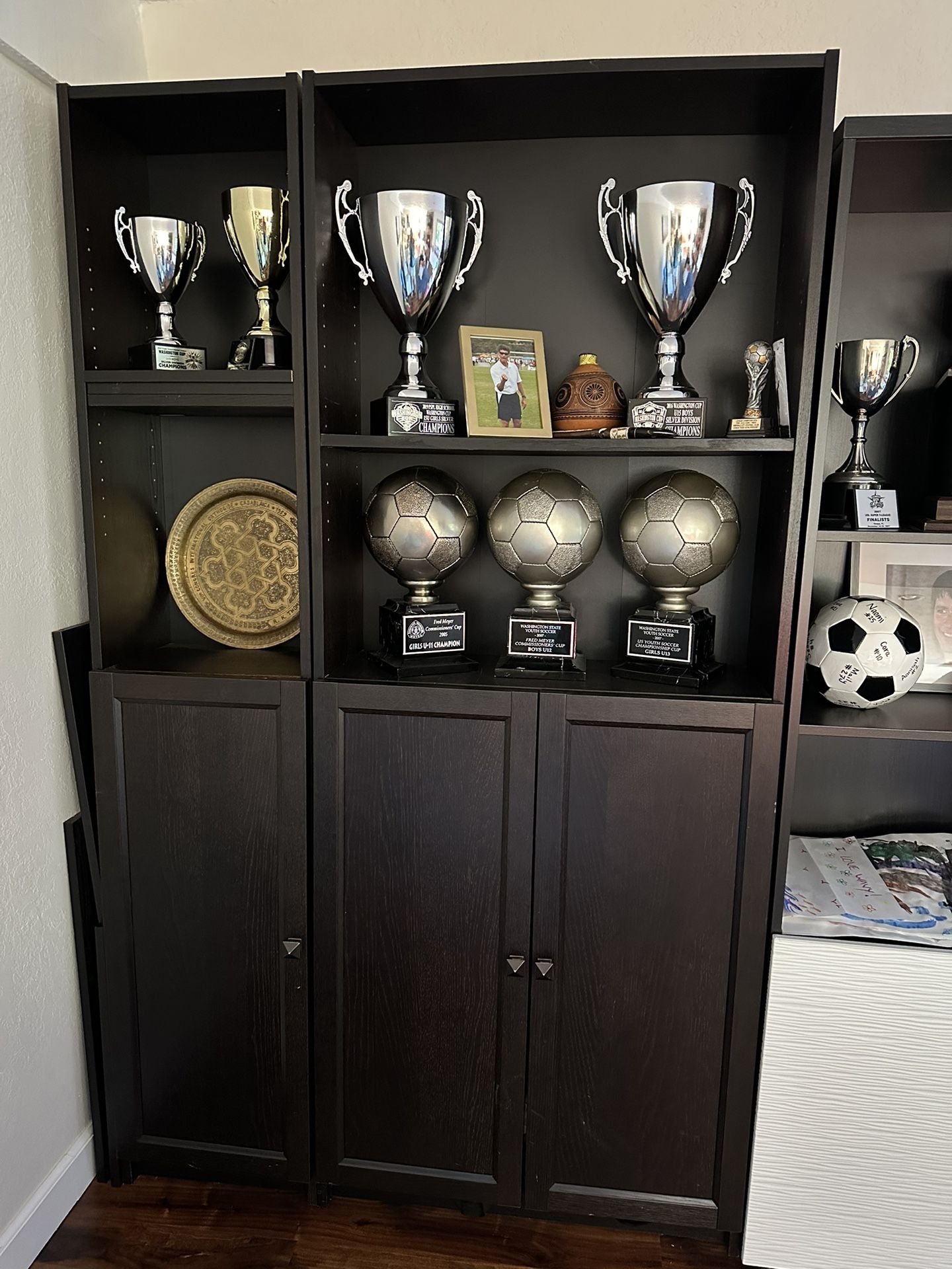 IKEA Besta Cabinets with Doors