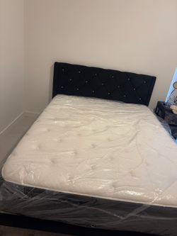 Full Size Bed + Frame