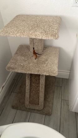 Jugete para gatos