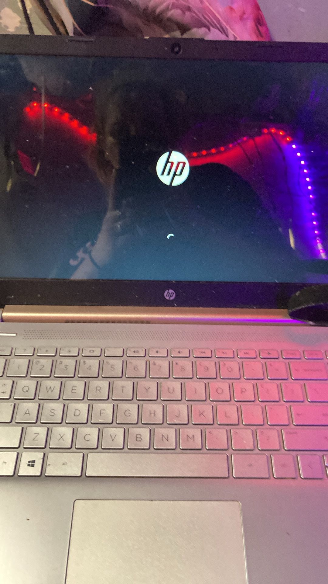 Hp Laptop