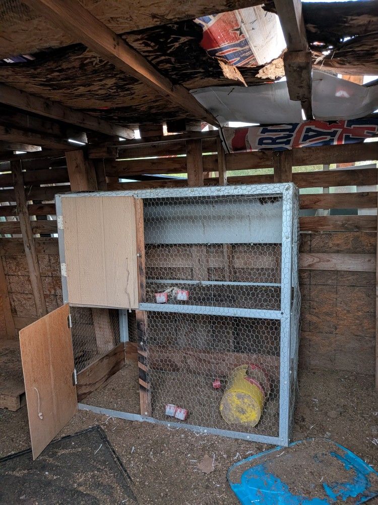 Chicken Coop 