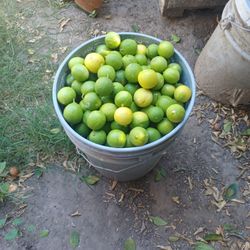 Limon Mexicano