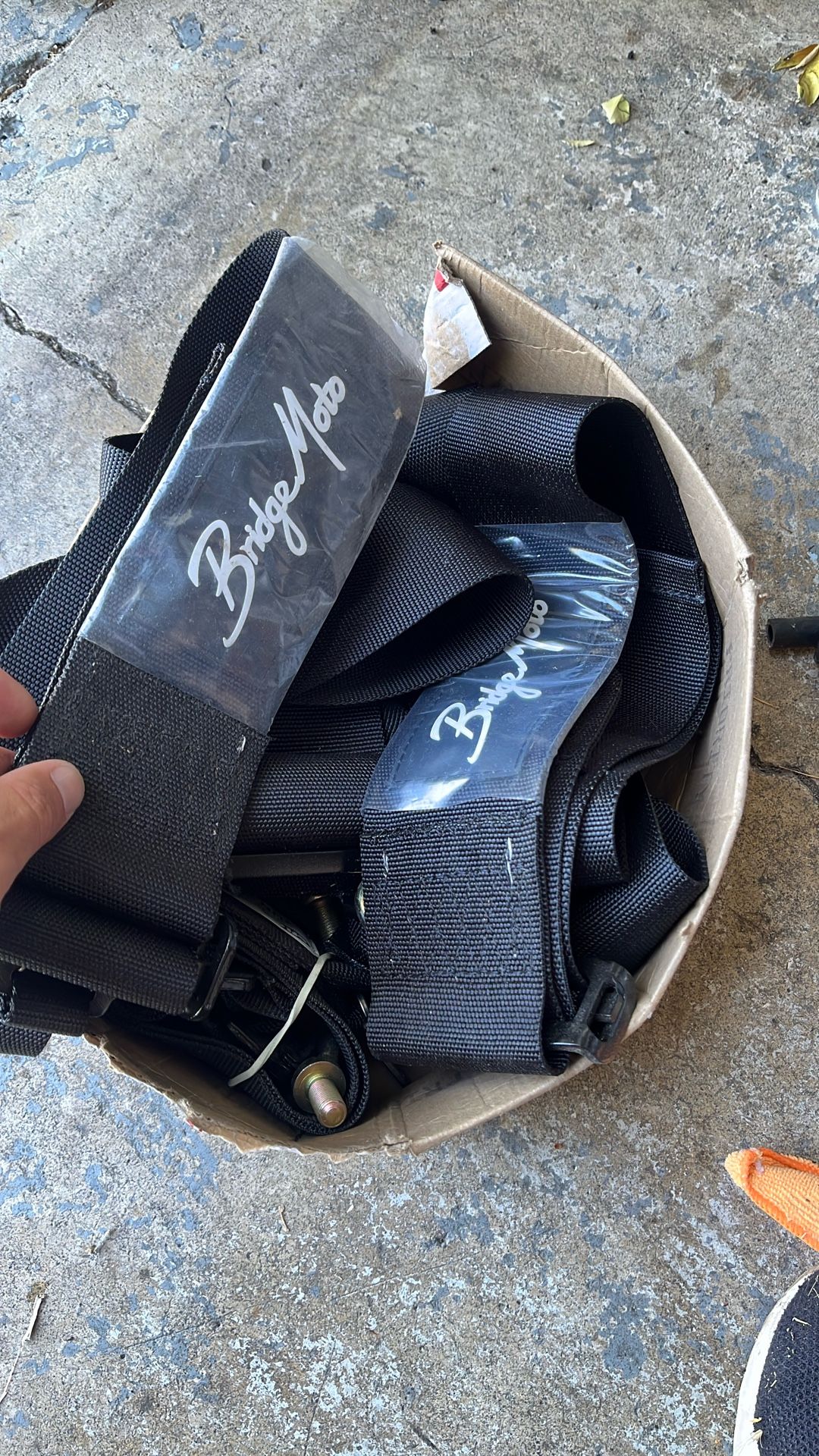 Expired Bridge Moto 5 Point Harness
