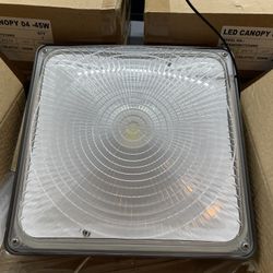 LED Canopy light
