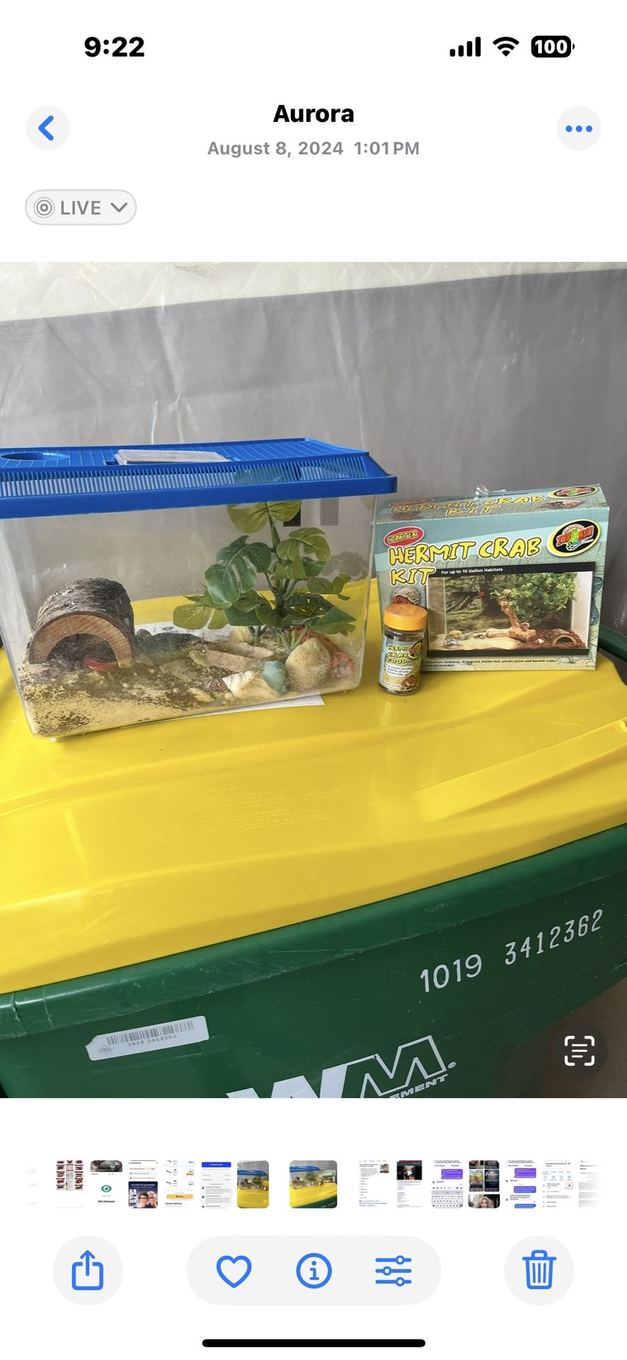 Hermit crab tank, accessories, and food