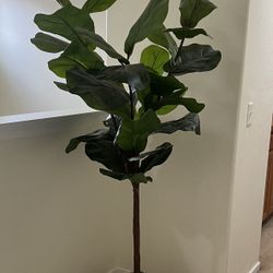 Faux Fiddle Fig Tree