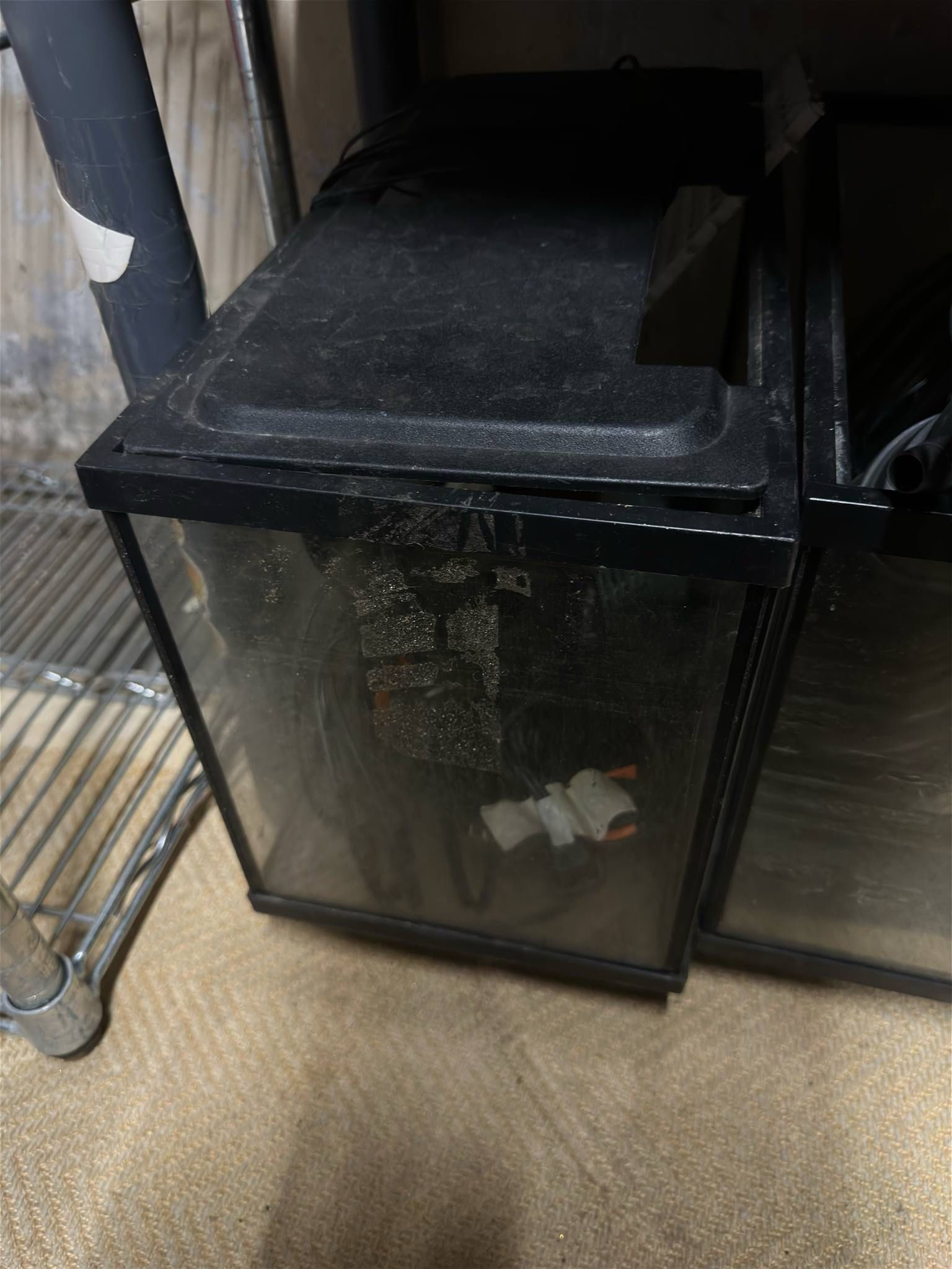 5 gal tank with light hood