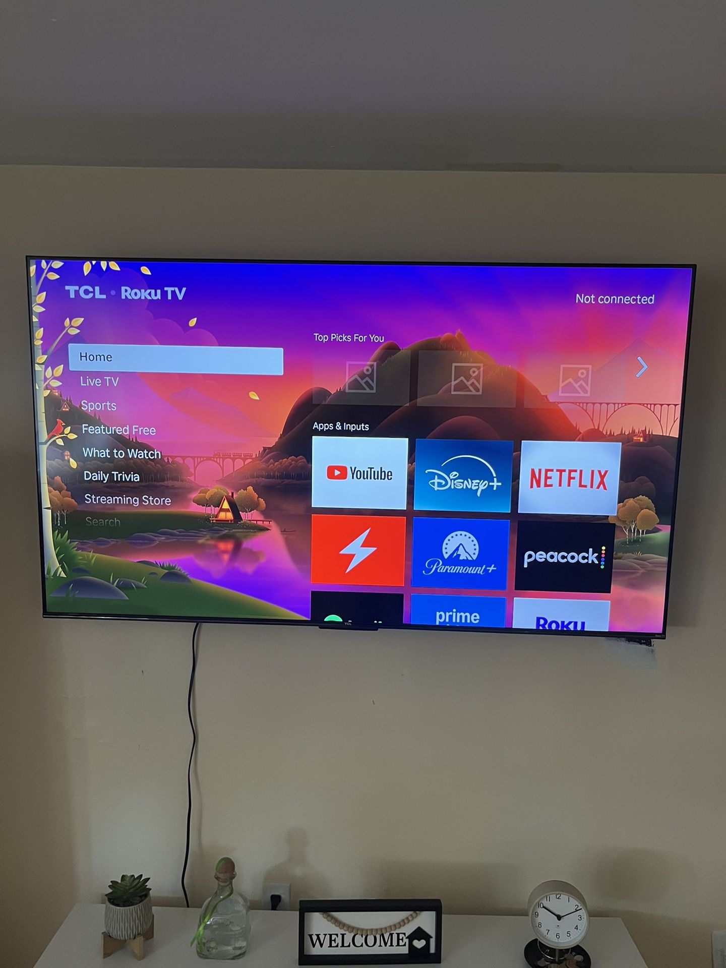 Smart Tv 65”