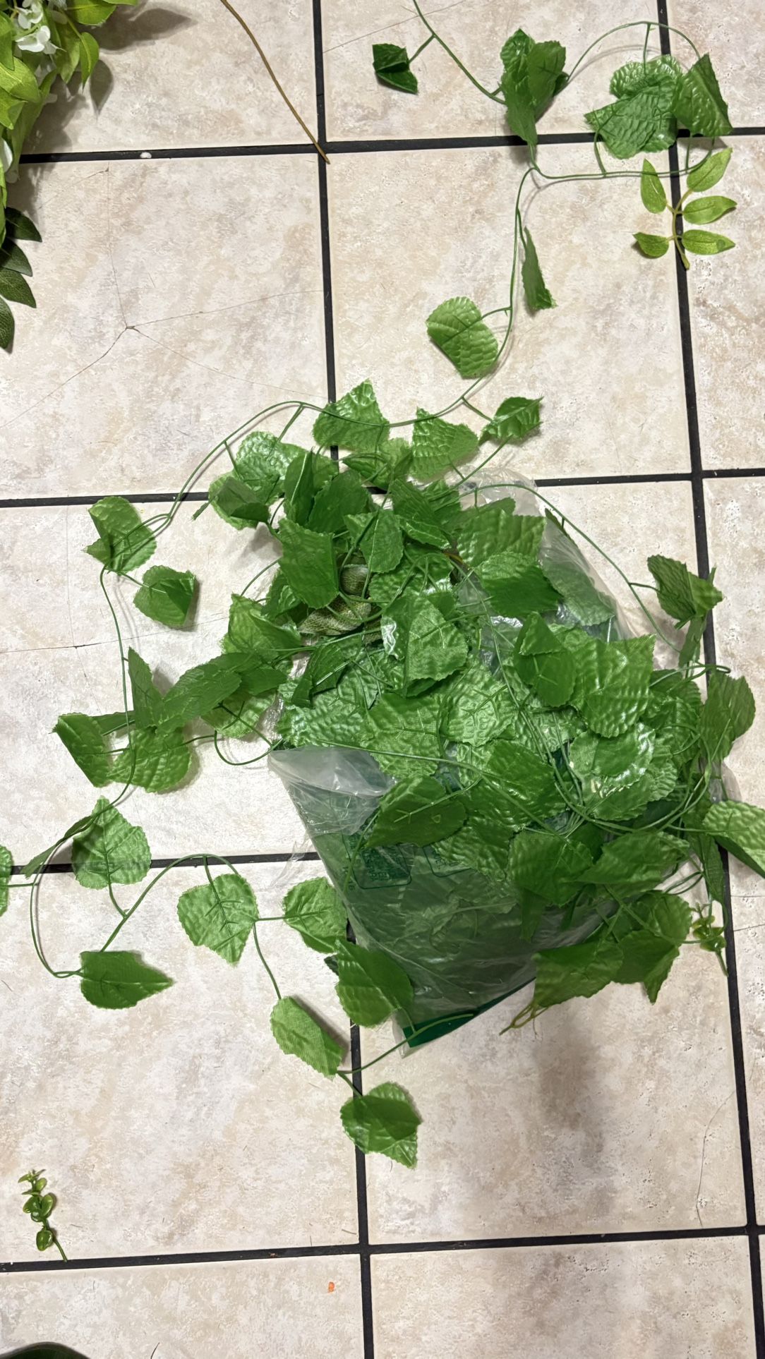 Eucalyptus/ Greenery