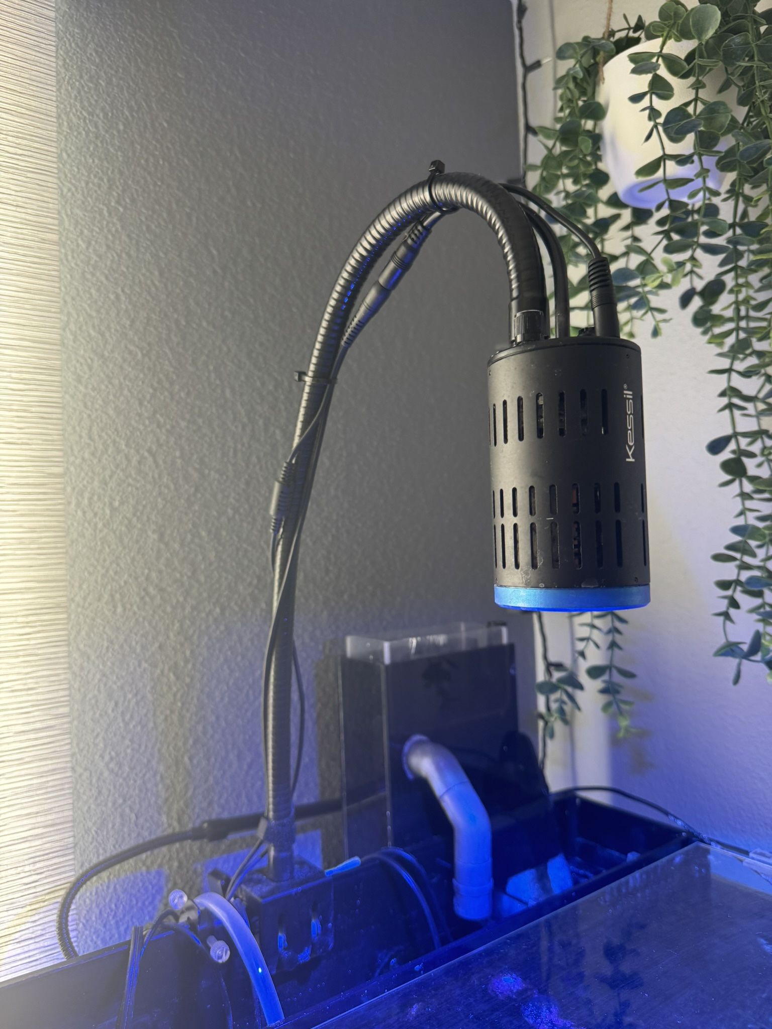 Kessil A160 Reef Light