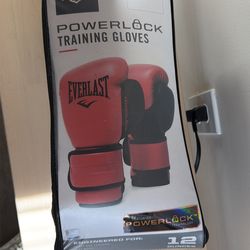 Everlast Training Gloves