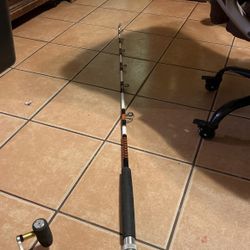 Custom Fishing Rod 