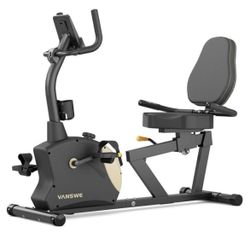 Recumbent Exercise Bike