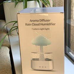 Rain Cloud Humidifier/Diffuser (NEW)