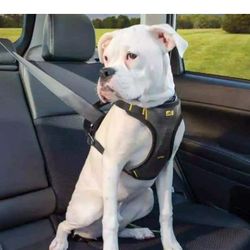 Kurgo Impact Crash Tested Car Dog Puppy Seatbelt Harness Strong Adjustable