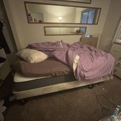 Whole Bed