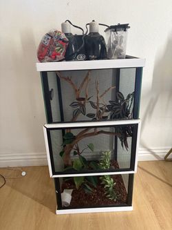 Chameleon cage