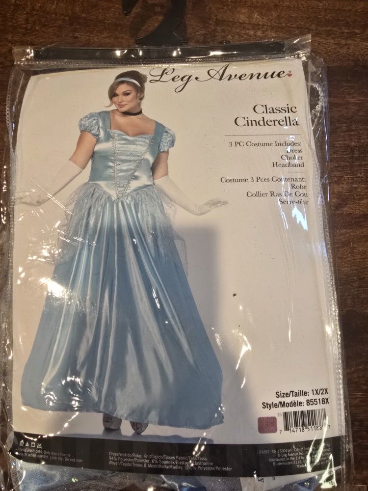 Classic Cinderella Costume