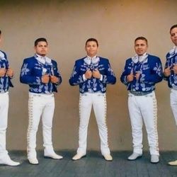 Guitarra Violin Trompeta Mariachi
