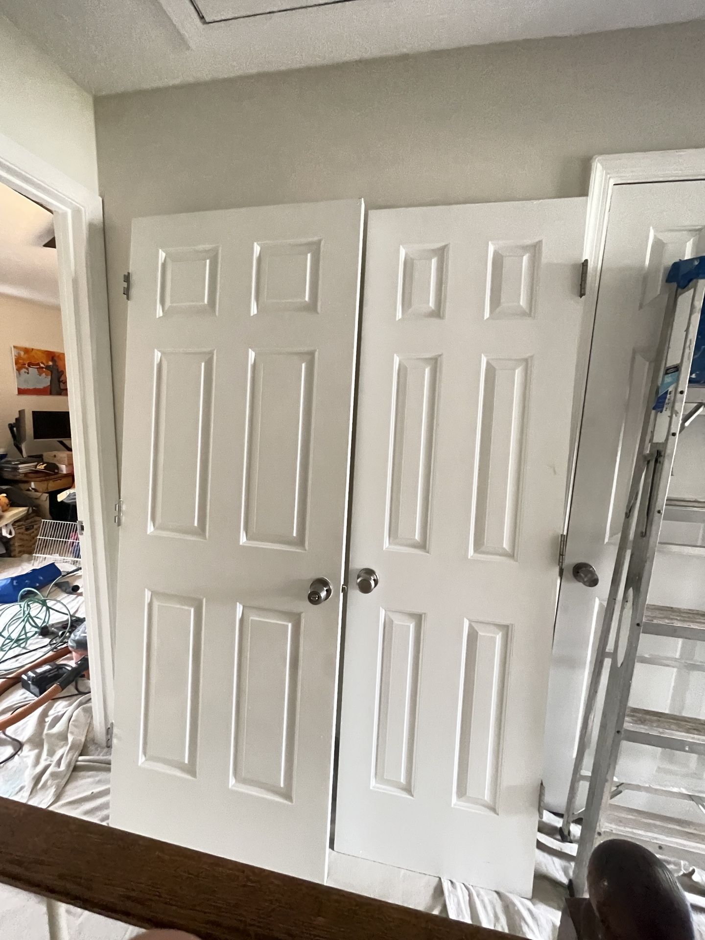Closet  Or Room Door Slabs 