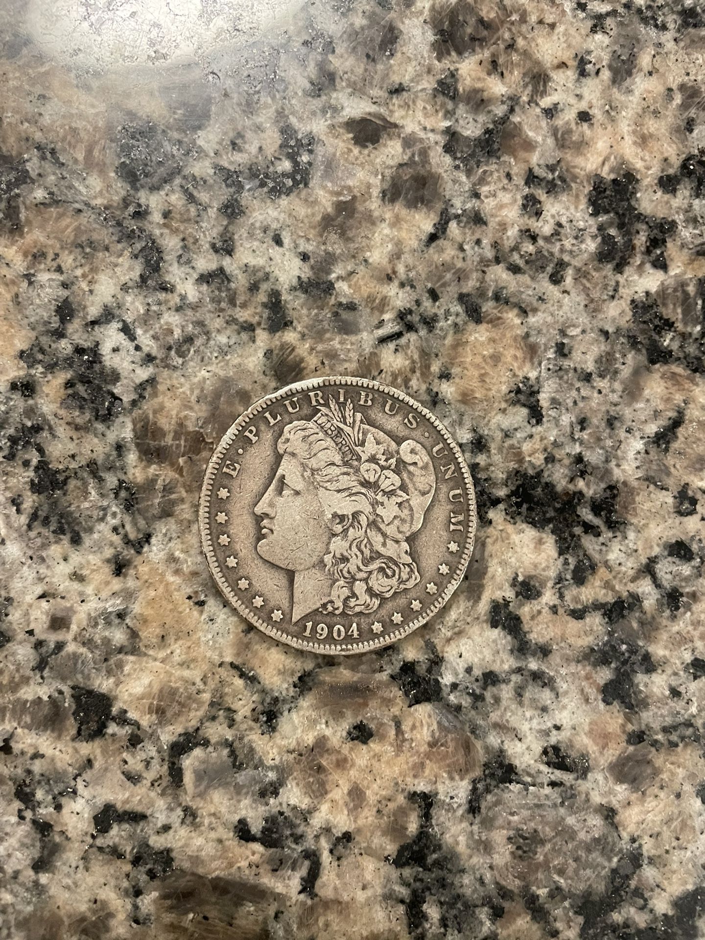 1904 Morgan Silver Dollar