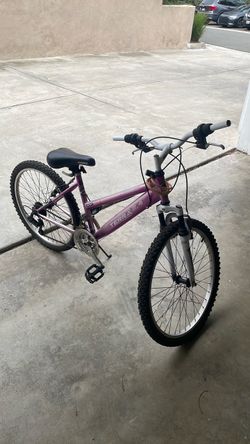 Terra 2.4 Mountain Bike Purple