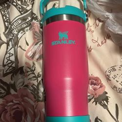 Pink & Teal Stanley