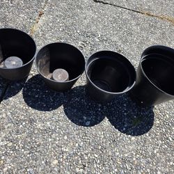 Flower Pots