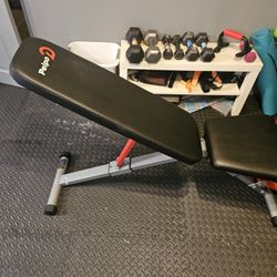 Pelpo Workout Banch