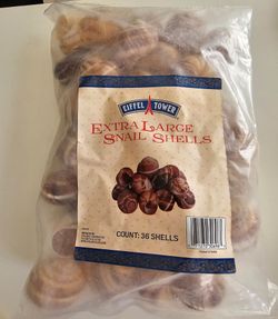 Extra large Snail shells for cooking or crafting