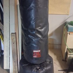 Punching Bag And Boxing Gloves