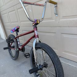 Custom 20” Bmx