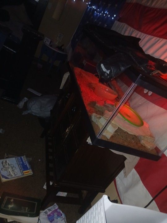 75 Gallon Snake Encloser