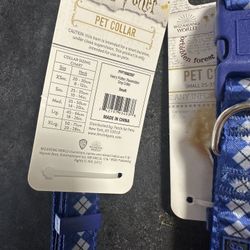 Boy Dog Collars