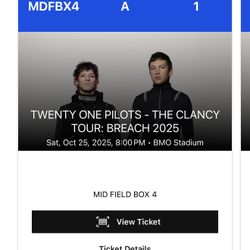 Twenty One Pilots @BMO Stadium N1 (10/25)